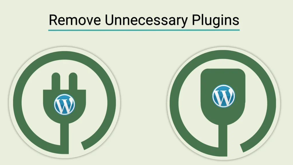 Remove Unnecessary Plugins